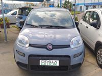 Usata Fiat Panda S 70 CV (51 kW) 2022 Grigio Utilitaria