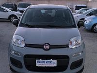 Usata Fiat Panda Easy 69 CV (50 kW) 2020 Grigio Utilitaria