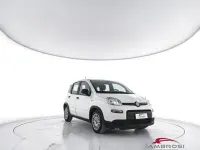 Usata Fiat Panda S 69 CV (50 kW) 2023 Bianco Utilitaria