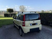 Usata Fiat Panda Cross 77 CV (56 kW) 2009 Utilitaria