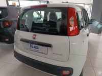 usata Fiat Panda 1.0 FireFly S&S Hybrid