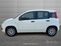 Usata Fiat Panda Easy 69 CV (50 kW) 2021 Bianco Utilitaria
