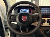 Usata Fiat Panda S 70 CV (51 kW) 2025 Bianco Utilitaria