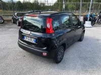 Usata Fiat Panda Cross Cross 84 CV (61 kW) 2024 Nero Utilitaria