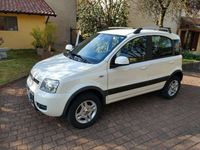 usata Fiat Panda 4x4 climbing