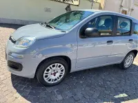Usata Fiat Panda Easy 69 CV (50 kW) 2019 Grigio Utilitaria