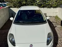 Usata Fiat Punto Lounge 69 CV (50 kW) 2014 Utilitaria