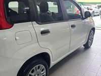 Usata Fiat Panda Connect 69 CV (50 kW) 2020 Utilitaria