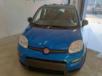 usata Fiat Panda 1.0 FireFly S&S Hybrid