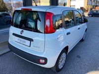 usata Fiat Panda 1.0 FireFly S&S Hybrid X NEOPATENTATI