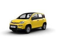 Usata Fiat Panda 69 CV (50 kW) 2024 Giallo Utilitaria