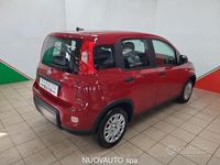 Usata Fiat Panda S 70 CV (51 kW) 2024 Rosso Utilitaria