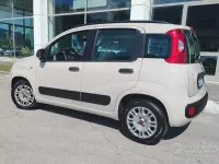 Usata Fiat Panda 75 CV (55 kW) 2014 Beige Utilitaria