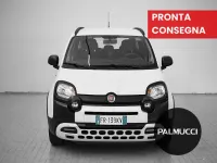 Usata Fiat Panda Cross Cross 69 CV (50 kW) 2018 Bianco Utilitaria