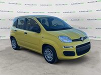 Nuova Fiat Panda Icon 69 CV (50 kW) 2025 Giallo Utilitaria
