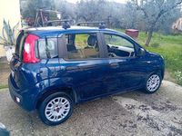 Usata Fiat Panda Easy 95 CV (69 kW) 2016 Blu Utilitaria