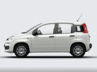 Usata Fiat Panda S 70 CV (51 kW) 2023 Bianco Utilitaria