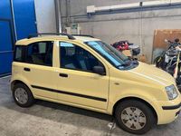 Usata Fiat Panda Dynamic 60 CV (44 kW) 2007 Giallo Utilitaria