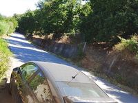 Usata Citroën C4 90 CV (66 kW) 2005 Nero Coupé