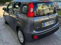 Usata Fiat Panda Easy 69 CV (50 kW) 2018 Utilitaria