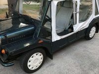 Usata Austin Mini 1993