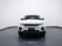Usata Land Rover Range Rover evoque Pure 150 CV (110 kW) 2017 Fujii white / tetto nero SUV