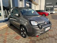 Usata Fiat Panda Cross Cross 69 CV (50 kW) 2023 Grigio Utilitaria