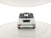Usata Fiat Panda Cross Cross 69 CV (50 kW) 2023 Bianco Utilitaria