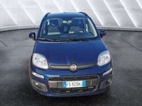 usata Fiat Panda 1.2 Lounge usato