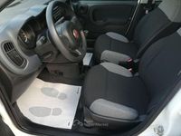 Usata Fiat Panda S 70 CV (51 kW) 2021 Bianco Berlina