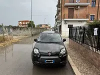 Usata Fiat Panda Cross Cross 69 CV (50 kW) 2020 Utilitaria