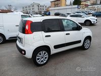 Usata Fiat Panda 4x4 85 CV (62 kW) 2020 Bianco Utilitaria