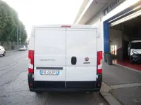 Usata Fiat Ducato 116 CV (85 kW) 2019 Bianco Furgone