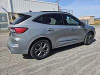 Usata Ford Kuga ST-Line 150 CV (110 kW) 2023 Grigio SUV