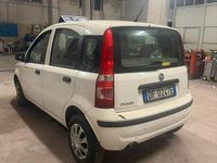 Usata Fiat Panda 2009 Utilitaria