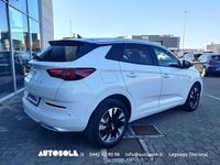 Occasion Opel Grandland X Business Elegance 131 ch (96 kW) 2023 Blanc SUV