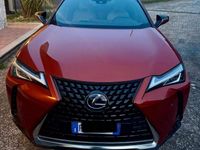 Usata Lexus UX 152 CV (111 kW) 2019 SUV