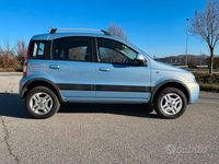 Usata Fiat Panda 4x4 2010 Blu Utilitaria