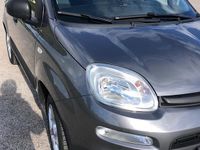 Usata Fiat Panda Lounge 69 CV (50 kW) 2018 Grigio Utilitaria