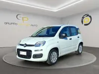 Usata Fiat Panda S 69 CV (50 kW) 2022 Bianco Utilitaria