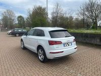 Usata Audi Q5 Business 190 CV (139 kW) 2019 SUV