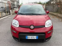 Usata Fiat Panda Cross Cross 69 CV (50 kW) 2023 Rosso Utilitaria