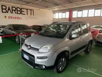 Usata Fiat Panda 4x4 75 CV (55 kW) 2014 Grigio Utilitaria