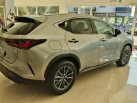 Usata Lexus NX450h+ 184 CV (135 kW) 2022 Grigio SUV