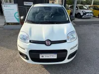 Usata Fiat Panda Icon 65 CV (47 kW) 2025 Bianco Utilitaria