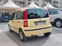 Usata Fiat Panda Active 54 CV (39 kW) 2008 Giallo Utilitaria