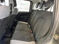 Usata Fiat Panda City Life 70 CV (51 kW) 2022 Grigio Utilitaria