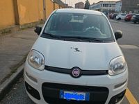 Usata Fiat Panda Lounge 2019 Bianco Utilitaria