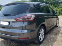 Usata Ford S-MAX S 150 CV (110 kW) 2019 Grigio Monovolume