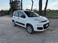 Usata Fiat Panda 4x4 84 CV (61 kW) 2019 Bianco Utilitaria